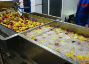 Equipment to fruit washing